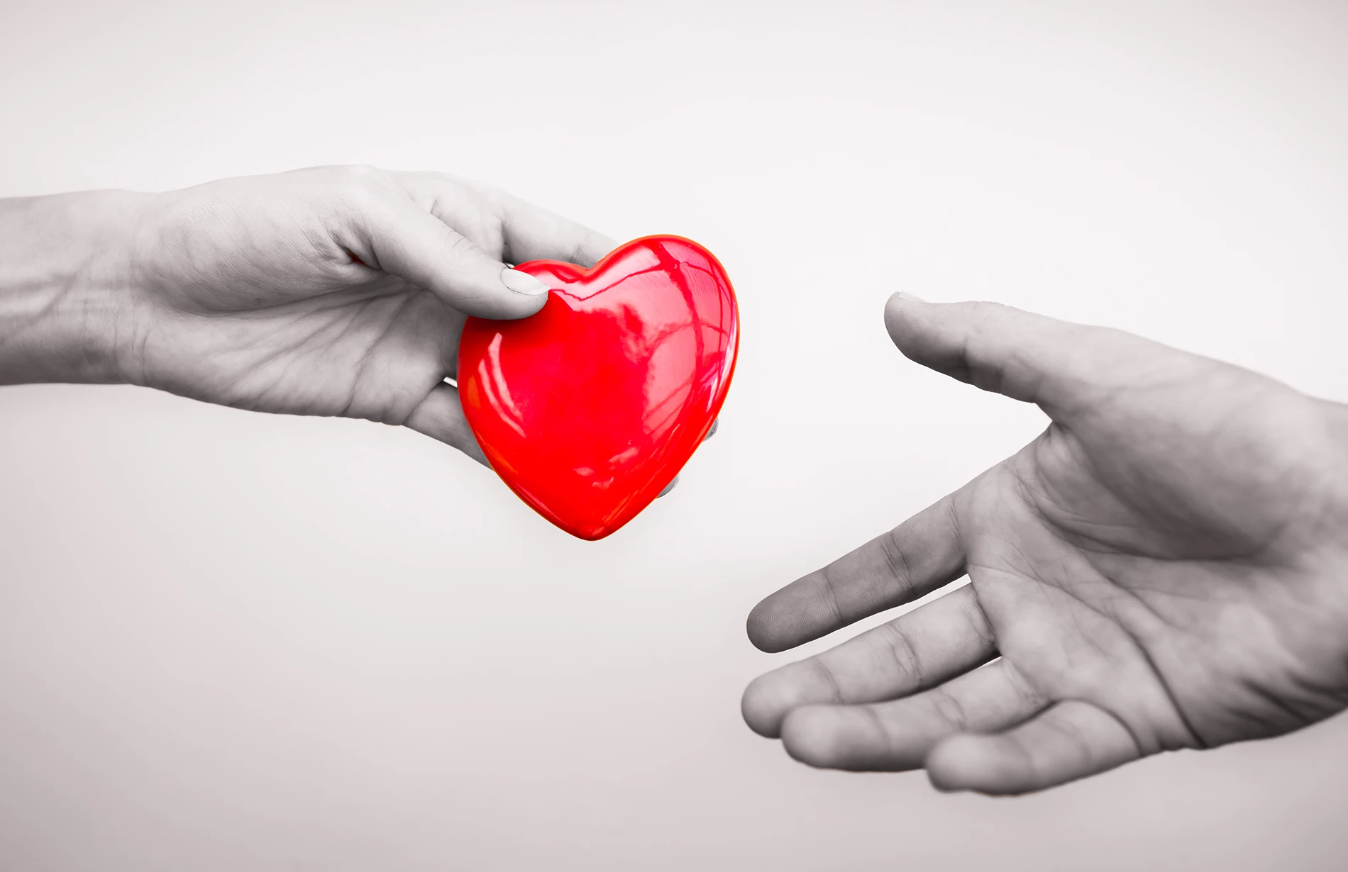 A grayscale hand offers a vibrant red heart to an outstretched receiving hand against a white background.